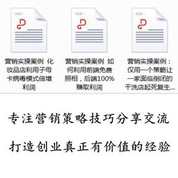 整合營銷策略 從策劃到執(zhí)行的實戰(zhàn)路徑與案例解析